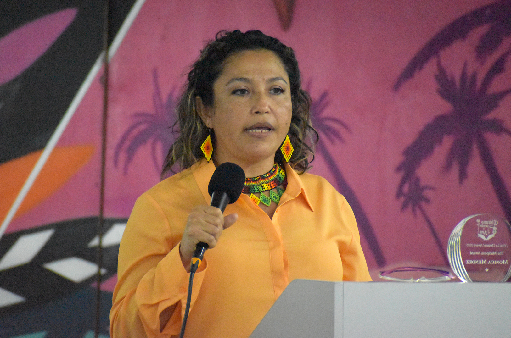 Viva La Chicana Monica Mendez 01