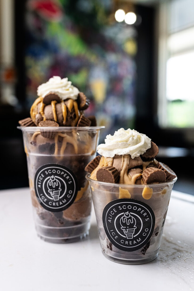 Alice Scooper's Charity K Photography 01