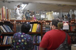 Willa’s Books and Vinyl 06