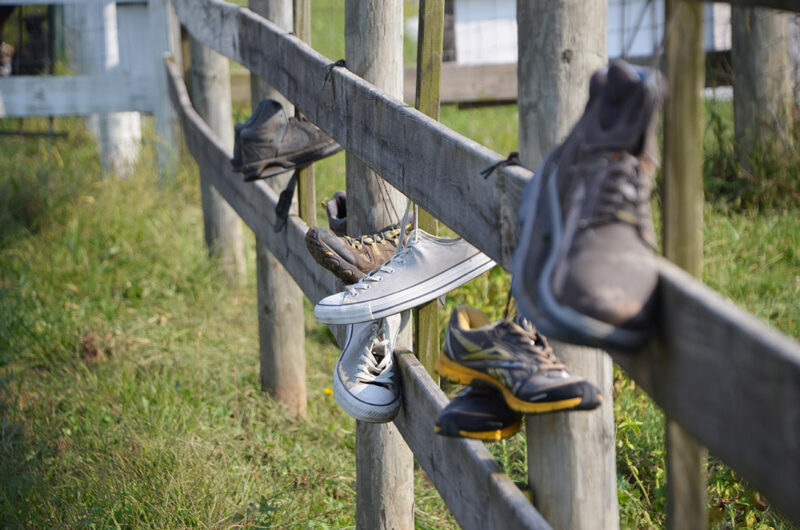 20170915 boysgrow 05 BoysGrow