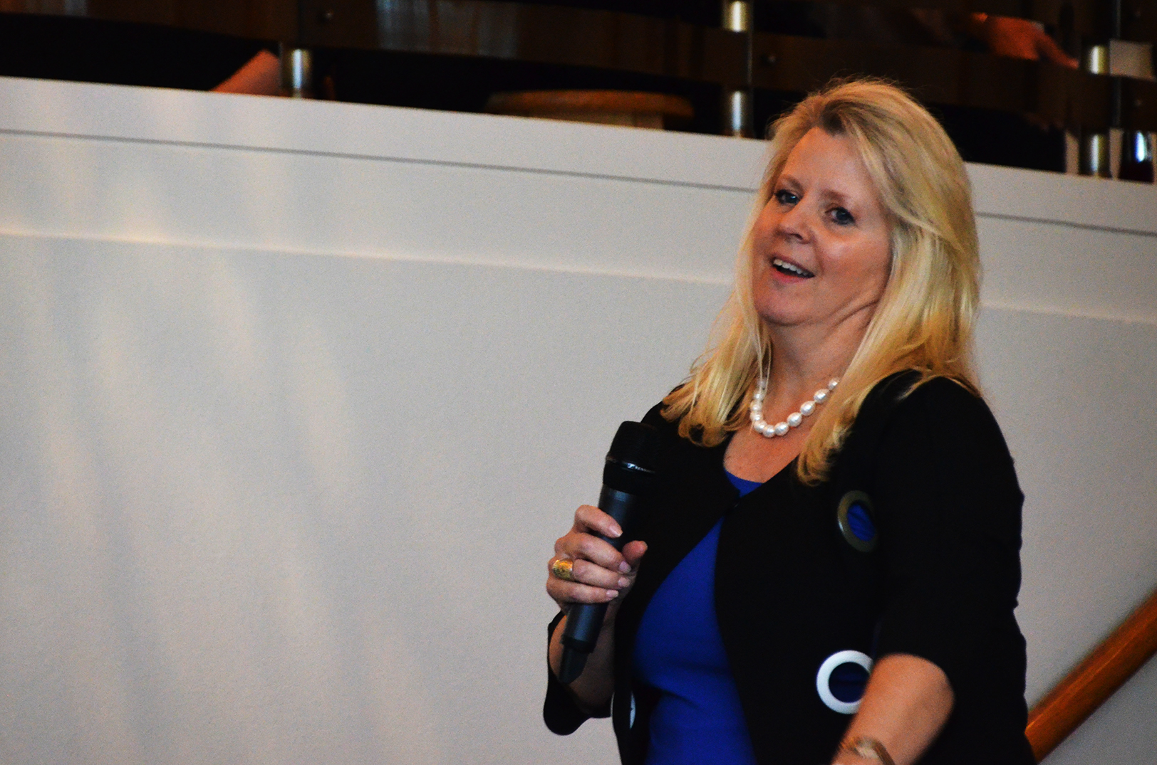 Karen Fenaroli, Fenaroli Minerva Investment Fund