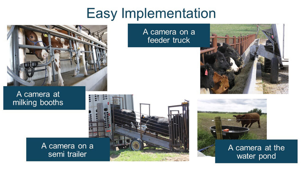 MyAnIML tech infographic