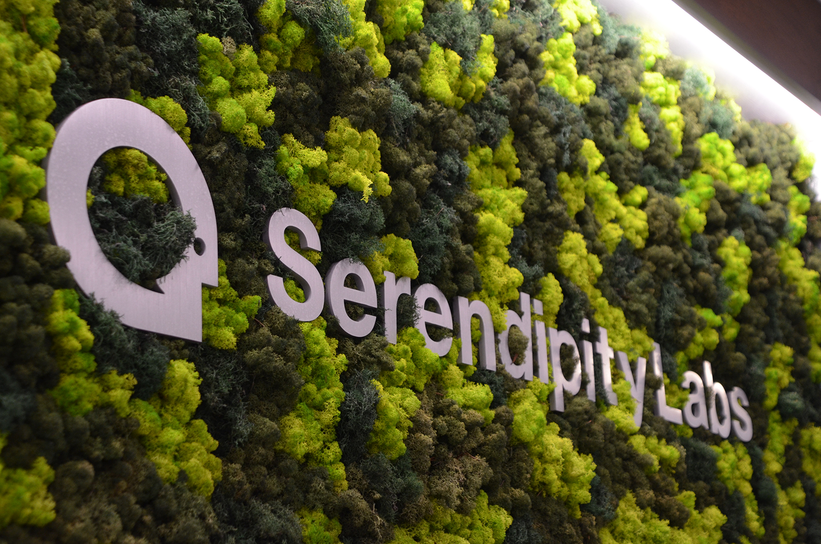 Serendipity Labs, Overland Park