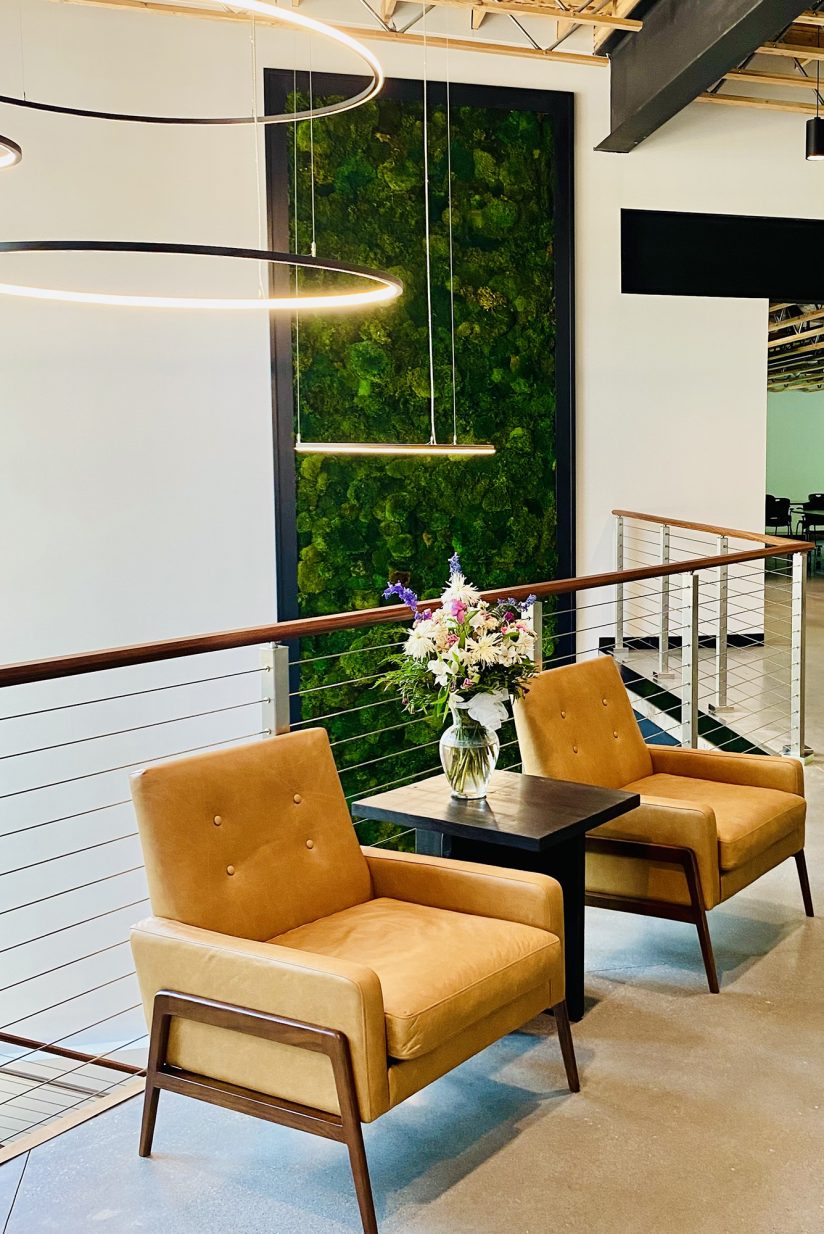 The Fat Plant Society installation at Navitas